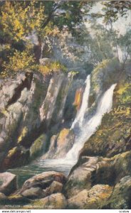 Ambleside, Cumbria, 1900-10s ; Stock Ghyll Force; TUCK 7326