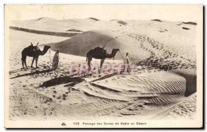 Old Postcard Shifting Sand Dunes in Desert Camels