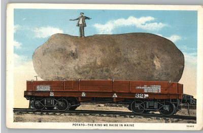 Old Postcard..Maine Potato on Train Car..ME..Exaggeration