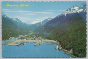 Skagway Alaska~Birdseye View~Cruise Ships & Ferries~Continental Postcard