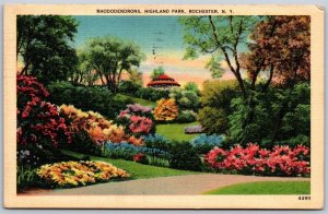 Vtg Rochester New York NY Rhododendrons Garden Highland Park 1940s Postcard