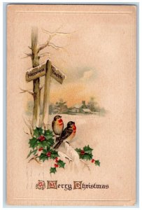 1915 Christmas Song Birds Holly Berries Winter Snow Embossed Oneonta NY Postcard