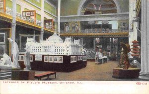 Field Museum Interior Exhibits Chicago Illinois 1910c postcard
