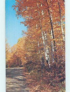 Pre-1980 AUTUMN LEAVES Adirondacks - Lake Placid New York NY AD5467