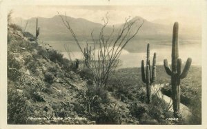 Arizona Roosevelt Dam #13064 1920s RPPC Photo Postcard 8978