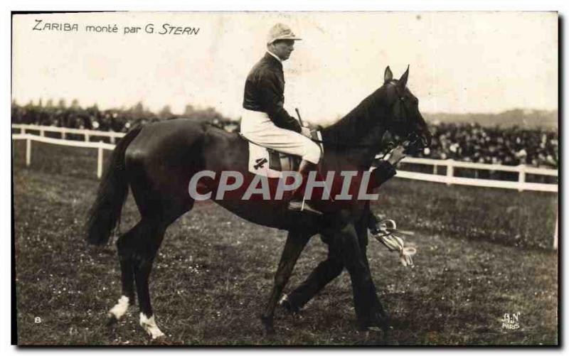Old Postcard Horse Riding Equestrian Zariba up G Stern