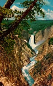 Yellowstone National Park Lower Falls Of The Grand Canyon