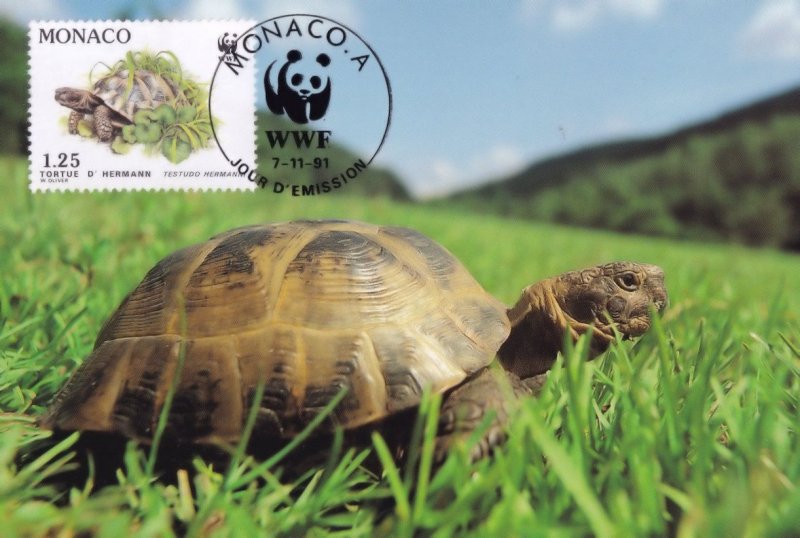 Hermanns Tortoise in French Grass Monaco WWF Stamp FDC Postcard