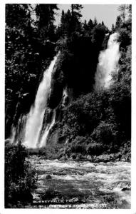 RPPC  Postcard Burney Falls, Shasta County California, Unposted B09