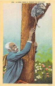 C25/ Black Americana Postcard A Coon Trees a Possum in Dixieland Man 19