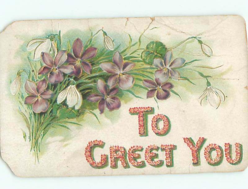 Divided-Back BEAUTIFUL FLOWERS SCENE Great Postcard AA2872