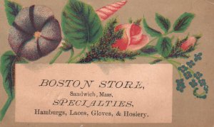 1880s-90s Pink Roses Boston Store Sandwich MA Laces Hamburgs Gloves Trade Card