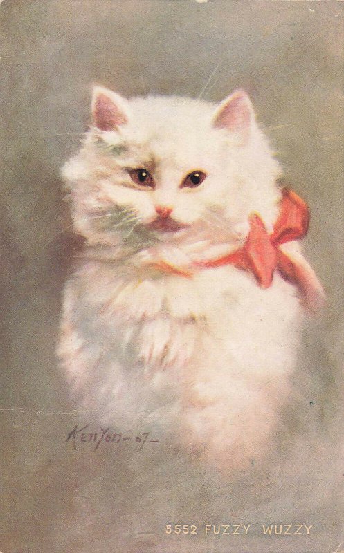 White Pussy Cat Pink Ribbon Kenyon Artist 1912 Postcard