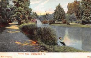 SPRINGFIELD OHIO SCENE IN SNYDER PARK~WHELOCK POSTCARD 1907 PSTMK