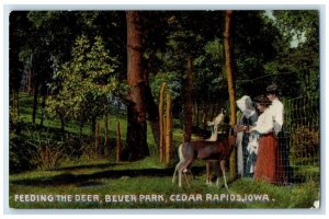 c1910 Feeding Deer Bever Park Exterior View Cedar Rapids Iowa Vintage Postcard