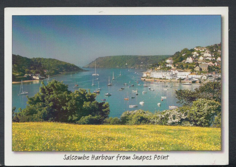 Devon Postcard - Salcombe Harbour From Snapes Point   T4192