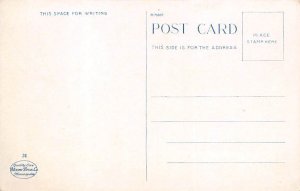 Masonic Temple Masonic Temple  - Rochester, Minnesota MN Postcard