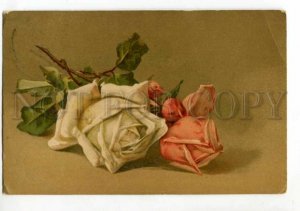 3119290 White & Pink ROSES by C. KLEIN vintage Russian DAY #414
