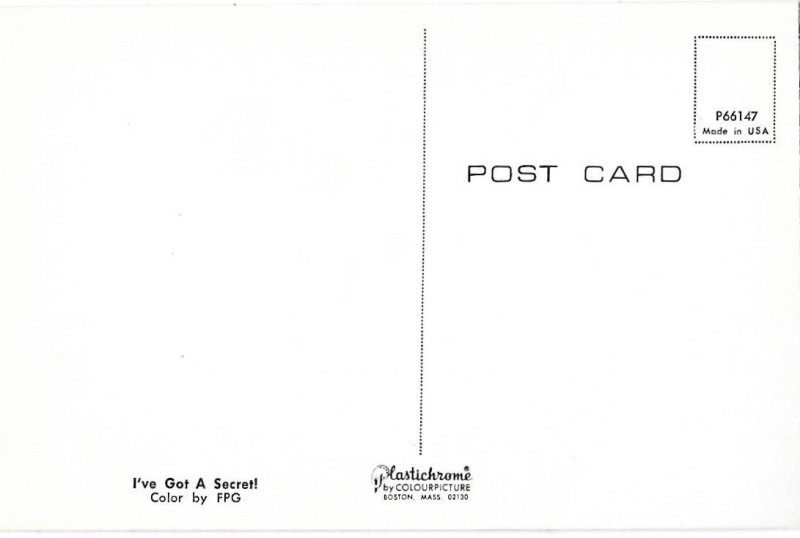 I've Got a Secret Two Adorable Puppies in Baskets Terriers?