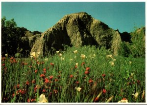 South Dakota Badlands National Park In The Spring