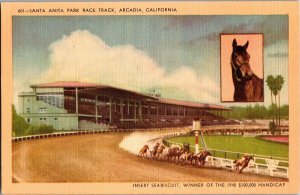 Seabiscuit, Santa Anita Park Race Track, Arcadia CA Vintage Postcard L74 