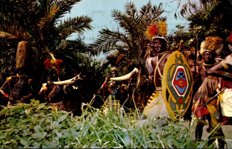 Disneyland Adventureland Jungle Drums Beat and Natives Chant 1961