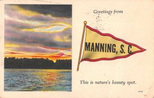 Manning South Carolina Greetings Pennant Flag Sunset Postcard JE359353