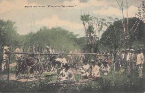 B77315 asando una ternera costumbres venezolan  venezuela  scan front/back image