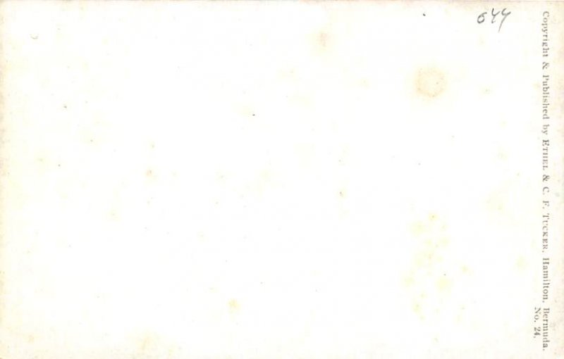 Bermuda Post card Old Vintage Antique Postcard Somerset Unused