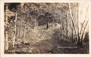 Road in the Woods in Poland Springs, Maine