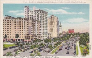 Florida Miami Biscayne Boulevard Looking North From Flagler Street Curteich