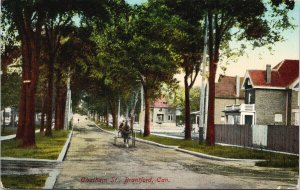 Brantford Ontario Chatham Street Horse Buggy Unused Postcard F33