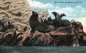 Vintage Postcard Seal Rocks Tourist Attraction Spot Catalina Island California