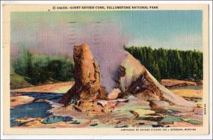 WY - Giant Geyser Cone, Yellowstone Nat'l Park