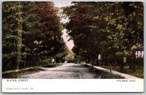 Postcard Aylmer Ontario c1908 Water Street Elgin County to Ceylon ONT