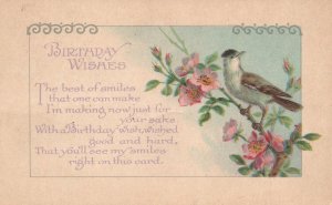 Vintage Postcard Birthday Wishes Bird Resting On Twig Greetings Card