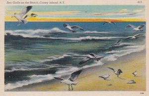 Birds Sea Gulls On The Beach Long Island New York