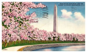 Postcard DC - Washington Monument and Cherry Blossoms