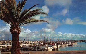 Fishing Pier San Diego California  