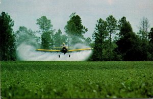 Georgia Peanut Farm With Crop Duster Spraying Field