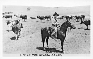 COWBOY ON HORSE-CATTLE~LIFE ON THE NEVADA RANGE~REAL PHOTO 1940s POSTCARD