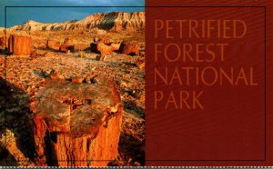 Arizona Petrified Forest National Park Log Fragments At Jasper Forest
