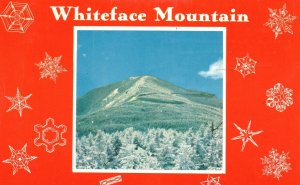 Vintage Postcard Whiteface Mountain In The Beautiful Adirondacks New York NY