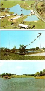 3~Postcards NC, Concord BUFFALO RANCH Hwy 49 Roadside Aerial View~Goat Ladder