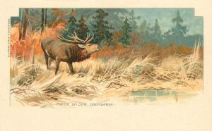 Postcard Germany C-1900 Ober Spree Dessin Deer Forest art undivided 23-3204