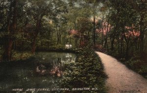 Vintage Postcard View of Horse Shoe Curve City Park Bridgeton New Jersey N.J.