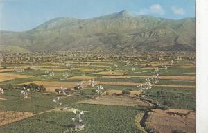 BF29364 crete windmills for irrigation lassithu plateau greece  front/back image