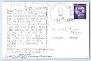 Man Sleepy Hunter Deer Forest Scene Trees Jewell OR DPO (1874-1964) Postcard