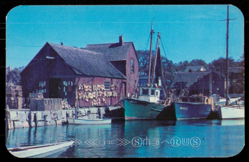 Scene along the Maine Coast