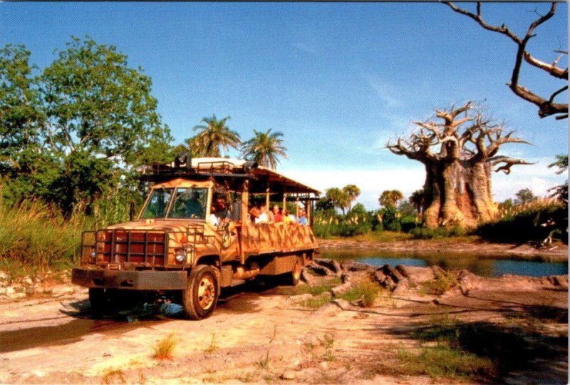 2~4X6 Postcards  FL, Florida  DISNEY'S ANIMAL KINGDOM  Safari Truck Tour & Tiger